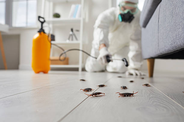 Trusted Rodent Control service in Washingtonville, NY - Nex Pest Control